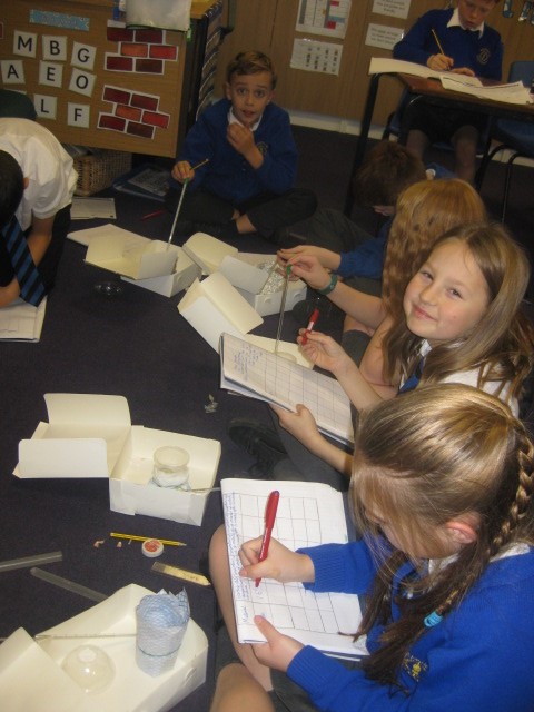 Y6 science